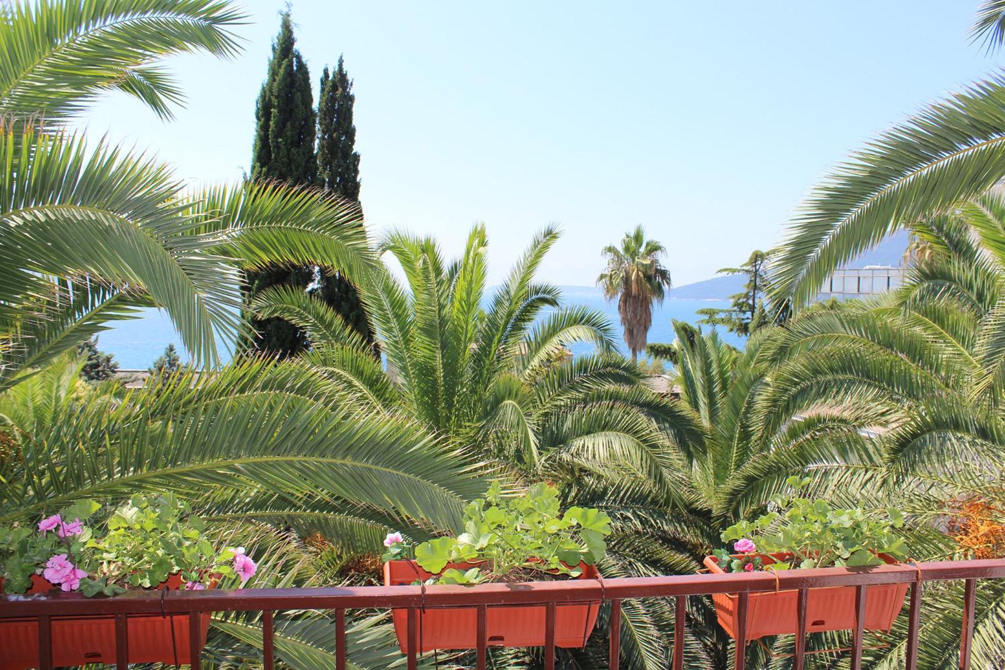 Apartmani I Sobe Goca Herceg Novi Ngoại thất bức ảnh