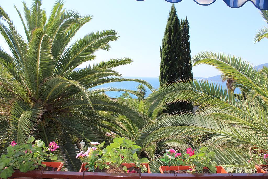 Apartmani I Sobe Goca Herceg Novi Ngoại thất bức ảnh
