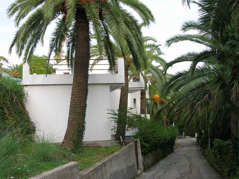 Apartmani I Sobe Goca Herceg Novi Ngoại thất bức ảnh