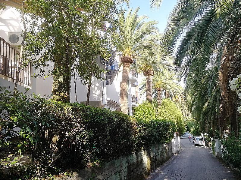 Apartmani I Sobe Goca Herceg Novi Ngoại thất bức ảnh